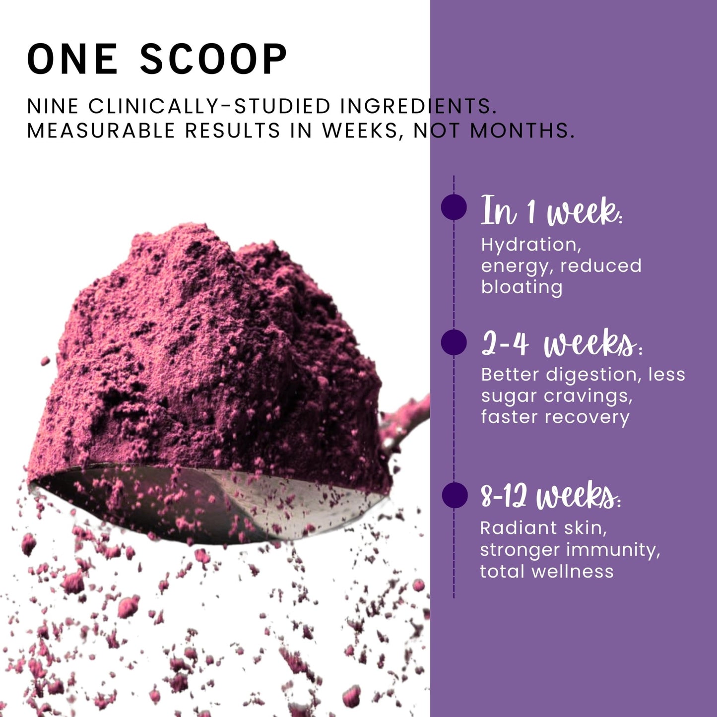 Leverage Mixed Berries Anti–Aging Supplement & Longevity Mix - Daily Wellness Multivitamin Powder with Hyaluronic Acid, L-Glycine & Magnesium for Skin, Energy, Cognitive Function & Joint–30 Servings - dailyvitalstore