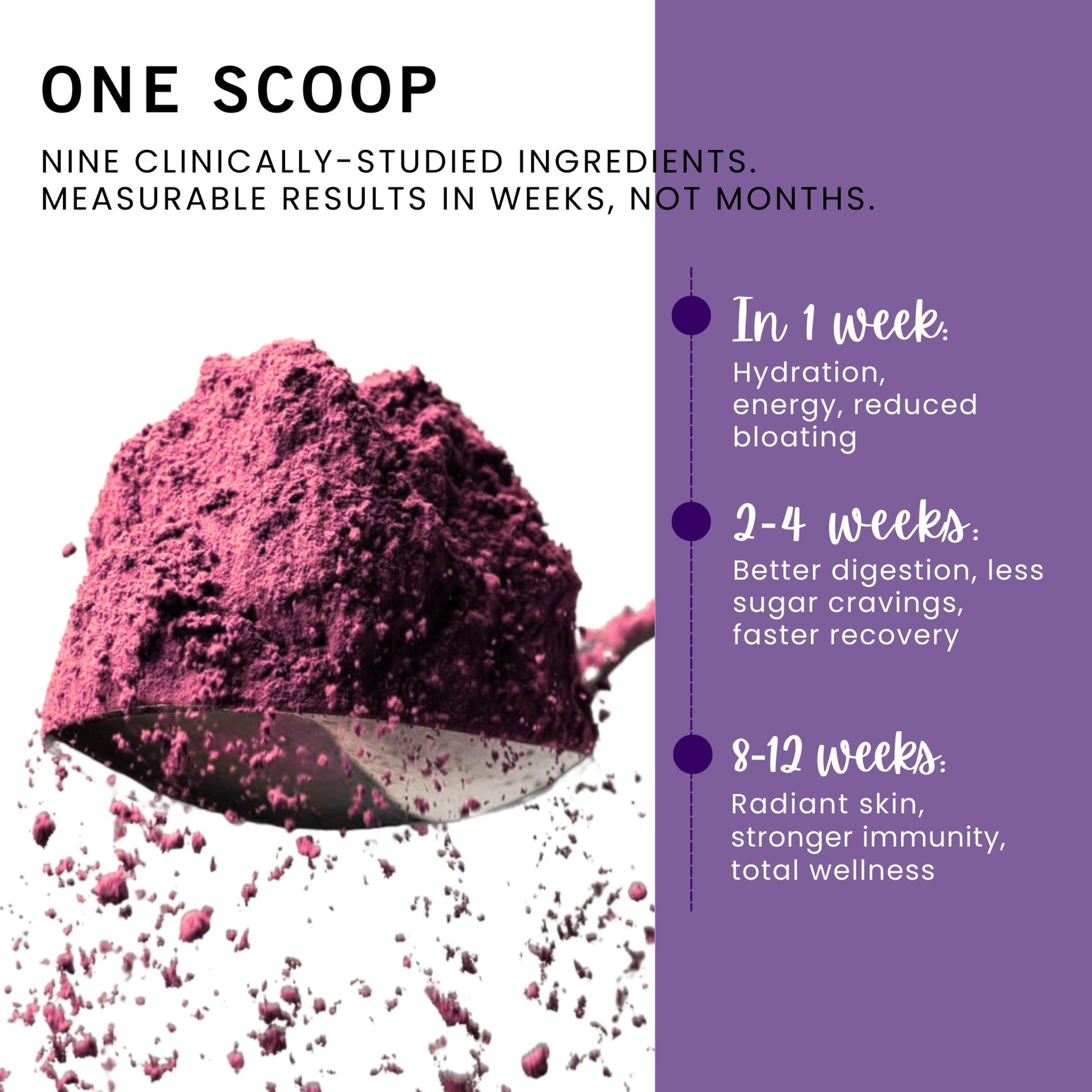 Leverage Mixed Berries Anti–Aging Supplement & Longevity Mix - Daily Wellness Multivitamin Powder with Hyaluronic Acid, L-Glycine & Magnesium for Skin, Energy, Cognitive Function & Joint–30 Servings - dailyvitalstore