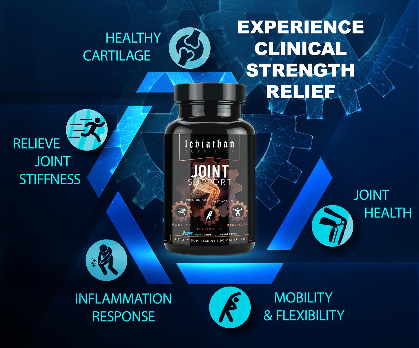 Leviathan Nutrition Joint Support | Helps Repair & Restore Joints for Comfort Mobility, Flexibility, Strength & Joint Health with Boswellia for Hands Back Knee and Joints for Men & Women - 90 Capsules - dailyvitalstore
