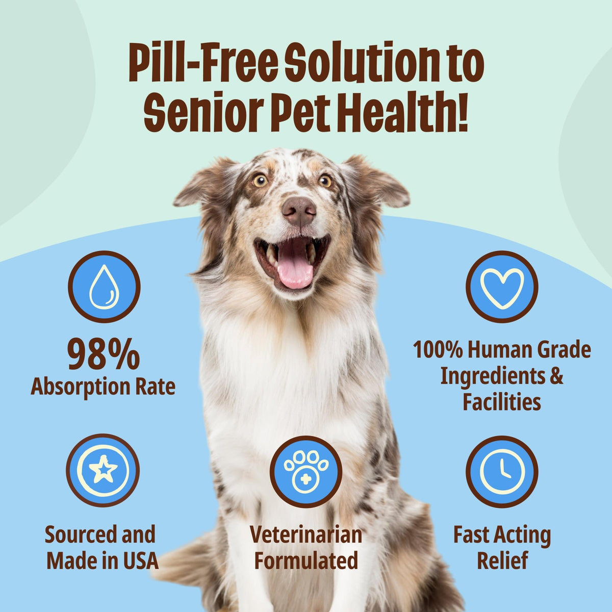 Licks Pill-Free Dog Joint and Heart - Glucosamine & Omega 3 Fish Oil Supplement for Dogs - Inflammation Supplements for Joint Support - Gel Packets - 30 Use - dailyvitalstore