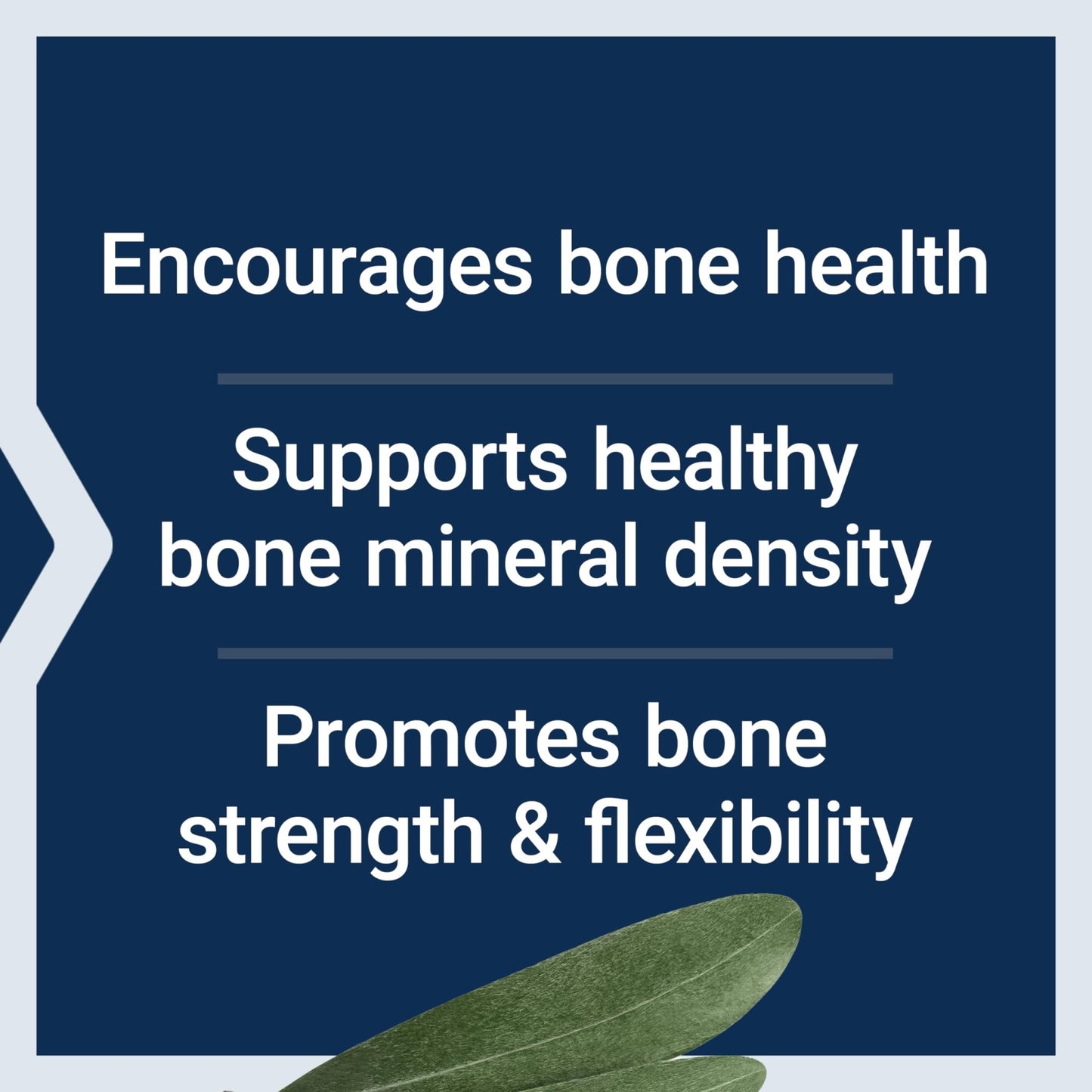 Life Extension Bone Strength Collagen Formula, Calcium Collagen chelate, Calcium fructoborate, Vitamin D3, Magnesium Citrate, Silicon, Boron, Gluten-Free, Non-GMO, 120 Capsules - dailyvitalstore