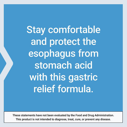 Life Extension Esophageal Guardian, alginic Acid, Potassium Bicarbonate, get Long-Lasting Relief from gastric Distress, Vegetarian, Non-GMO - dailyvitalstore
