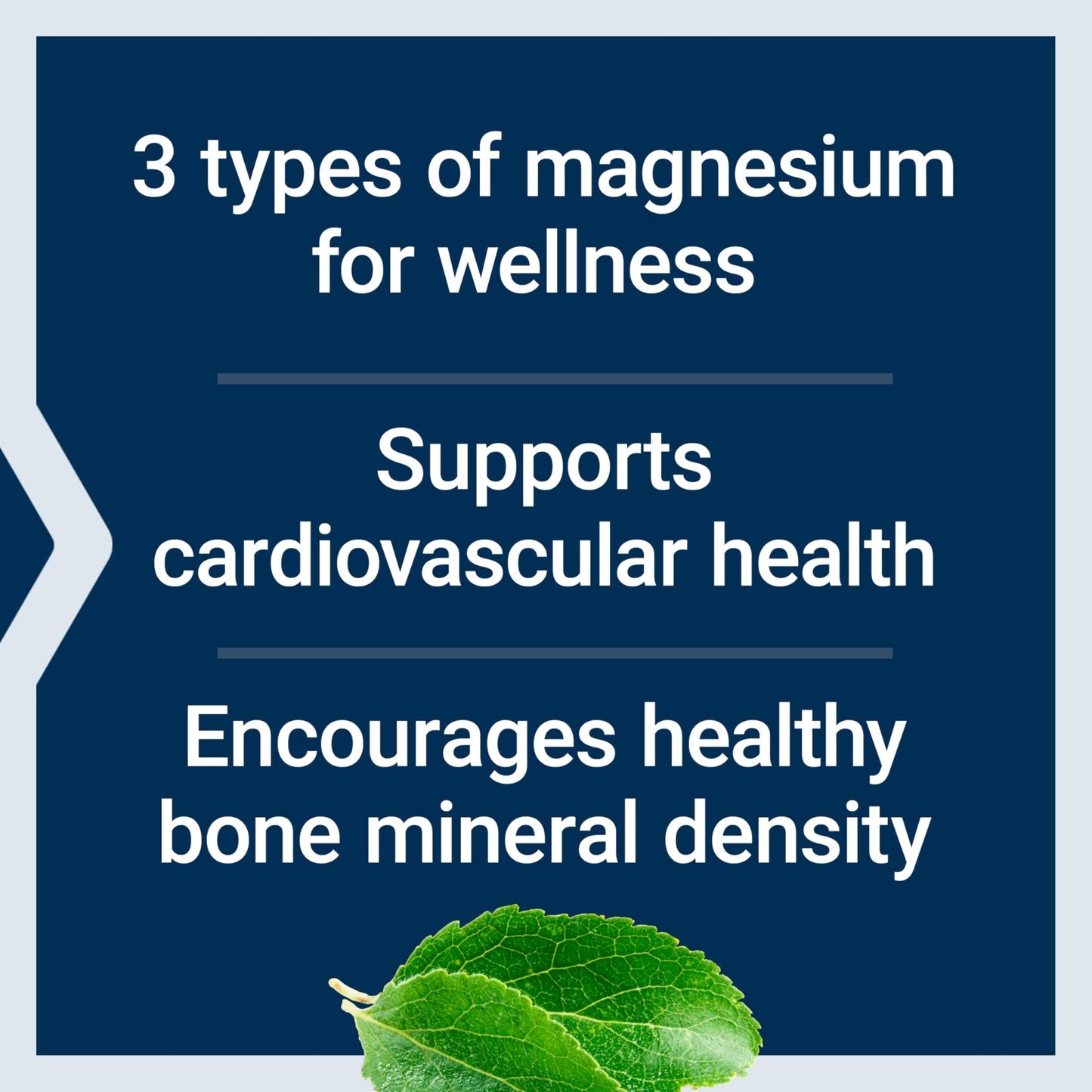 Life Extension Magnesium Caps, 500 mg, Magnesium Oxide, Citrate, and Succinate, Heart Health, Healthy Bones, Metabolism Support, 100 Vegetarian Capsules - dailyvitalstore