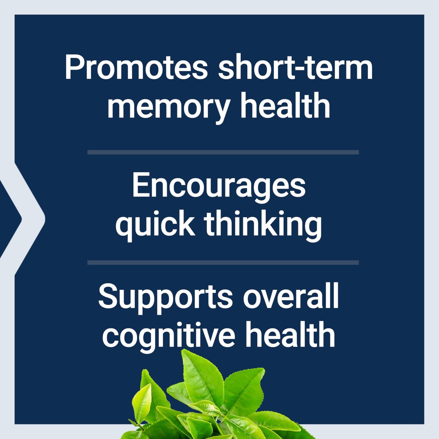 Life Extension Neuro-Mag Magnesium L-Threonate, Memory Health, Quick Thinking, Cognitive Health Support, Vegetarian, Non-GMO, 90 Vegetarian Capsules (144 mg from 2000 mg Magtein magnesium L-threonate - dailyvitalstore