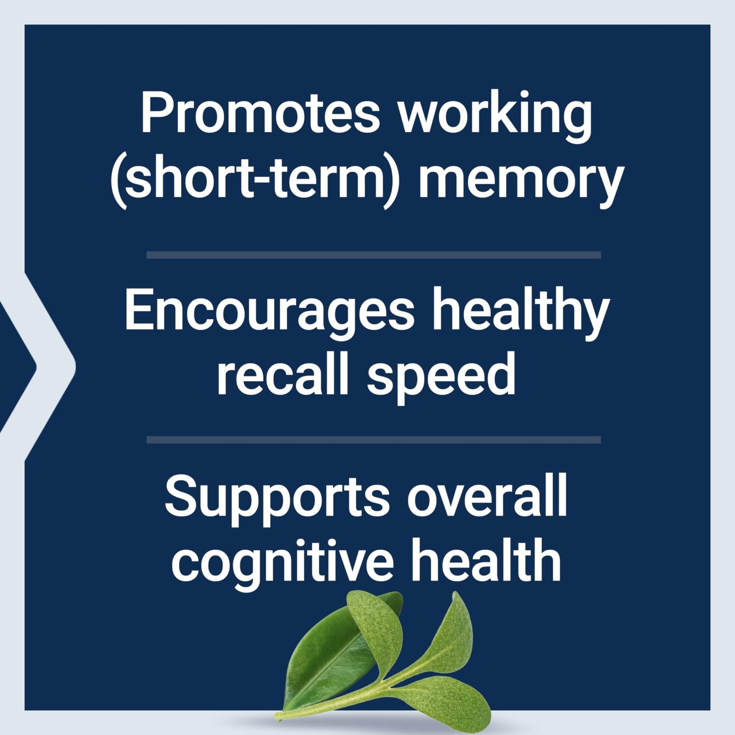 Life Extension Neuro-Mag Magnesium L-Threonate Powder (Tropical Punch) - Ultra-Absorbable Magnesium - Supports Memory, Focus, Cognitive Function & Mood - dailyvitalstore