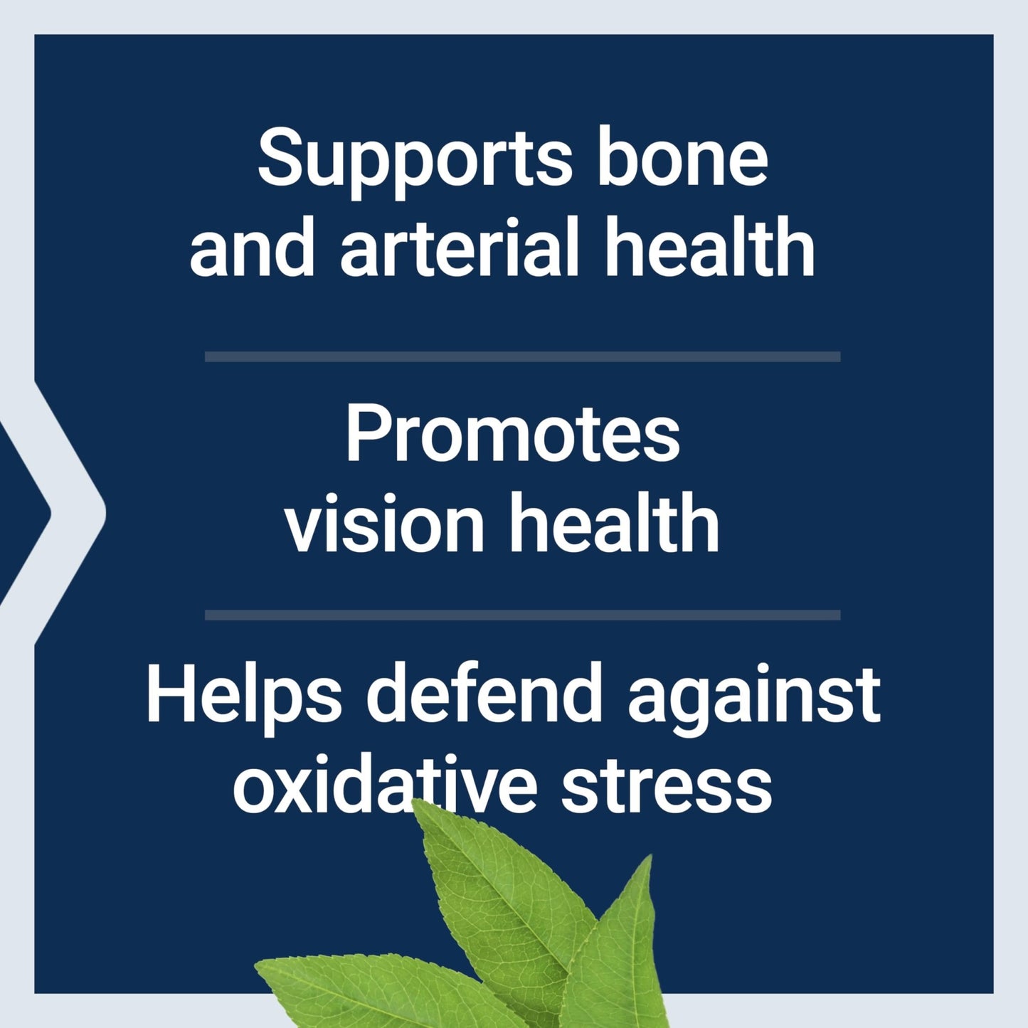 Life Extension Once-Daily Health Booster, Vitamins E, K1 & K2, phospholipids, Fat-Soluble nutrients for Eye Health, Bone Health, Heart Health, Gluten-Free, 1 Daily, Non-GMO, 30 softgels - dailyvitalstore