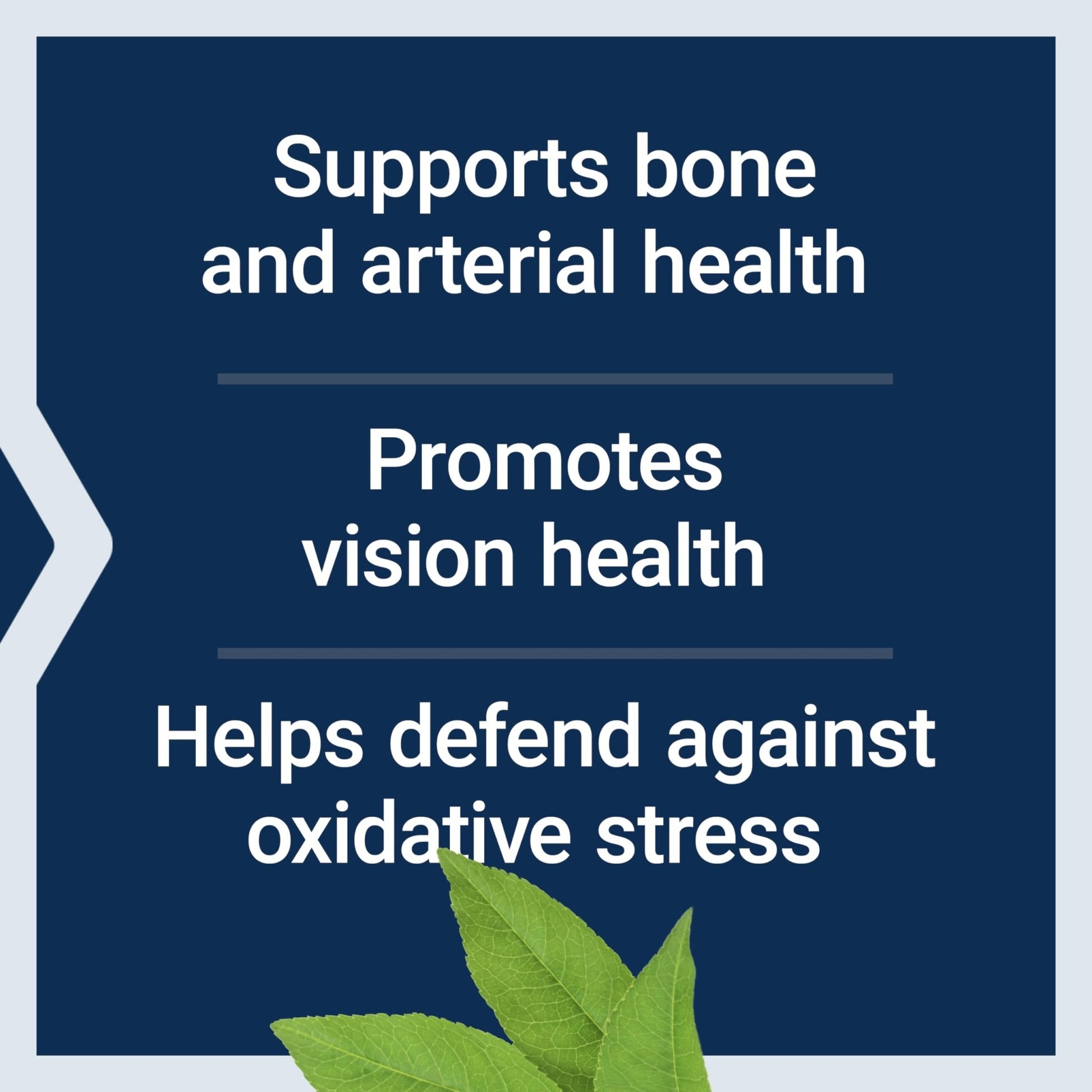Life Extension Once-Daily Health Booster, Vitamins E, K1 & K2, phospholipids, Fat-Soluble nutrients for Eye Health, Bone Health, Heart Health, Gluten-Free, 1 Daily, Non-GMO, 30 softgels - dailyvitalstore