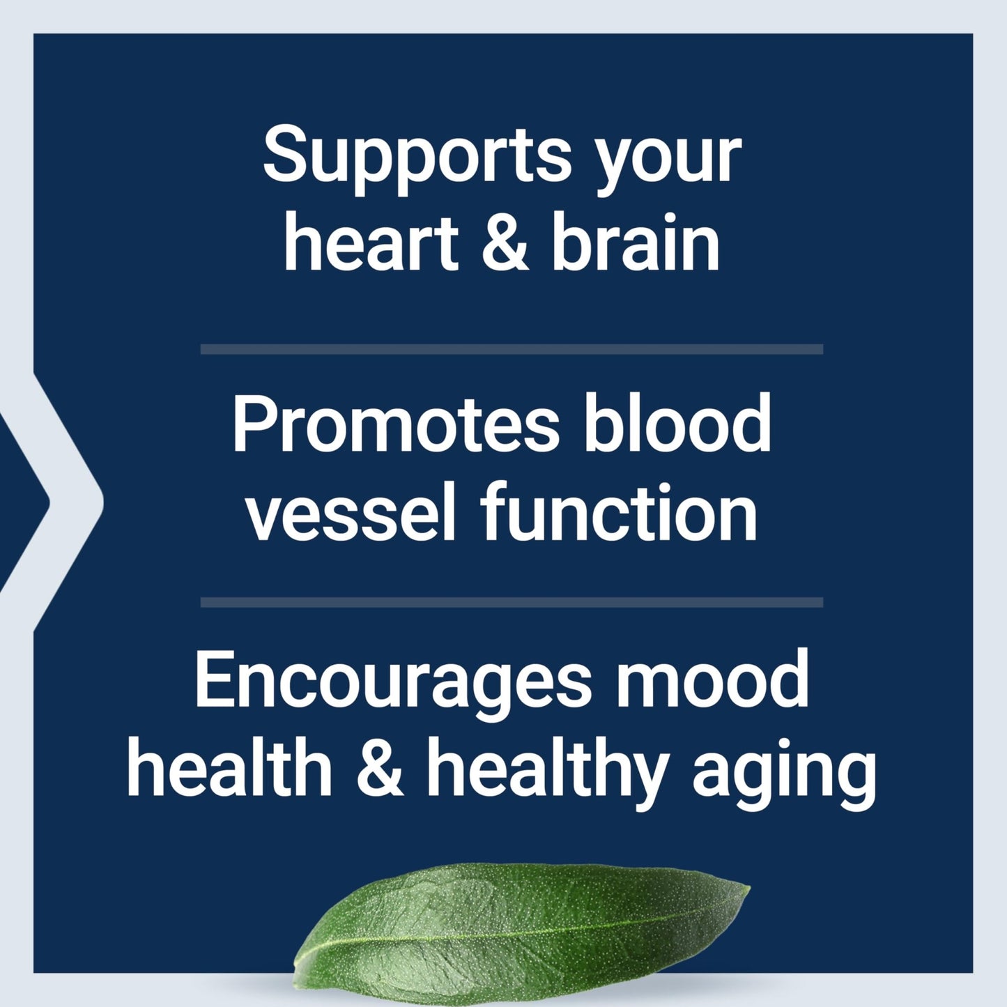 Life Extension Super Omega-3 EPA/DHA Fish Oil, Sesame Lignans & Olive Extract – Heart Health, Brain Health, Inflammation Health Support, Gluten-Free, - dailyvitalstore