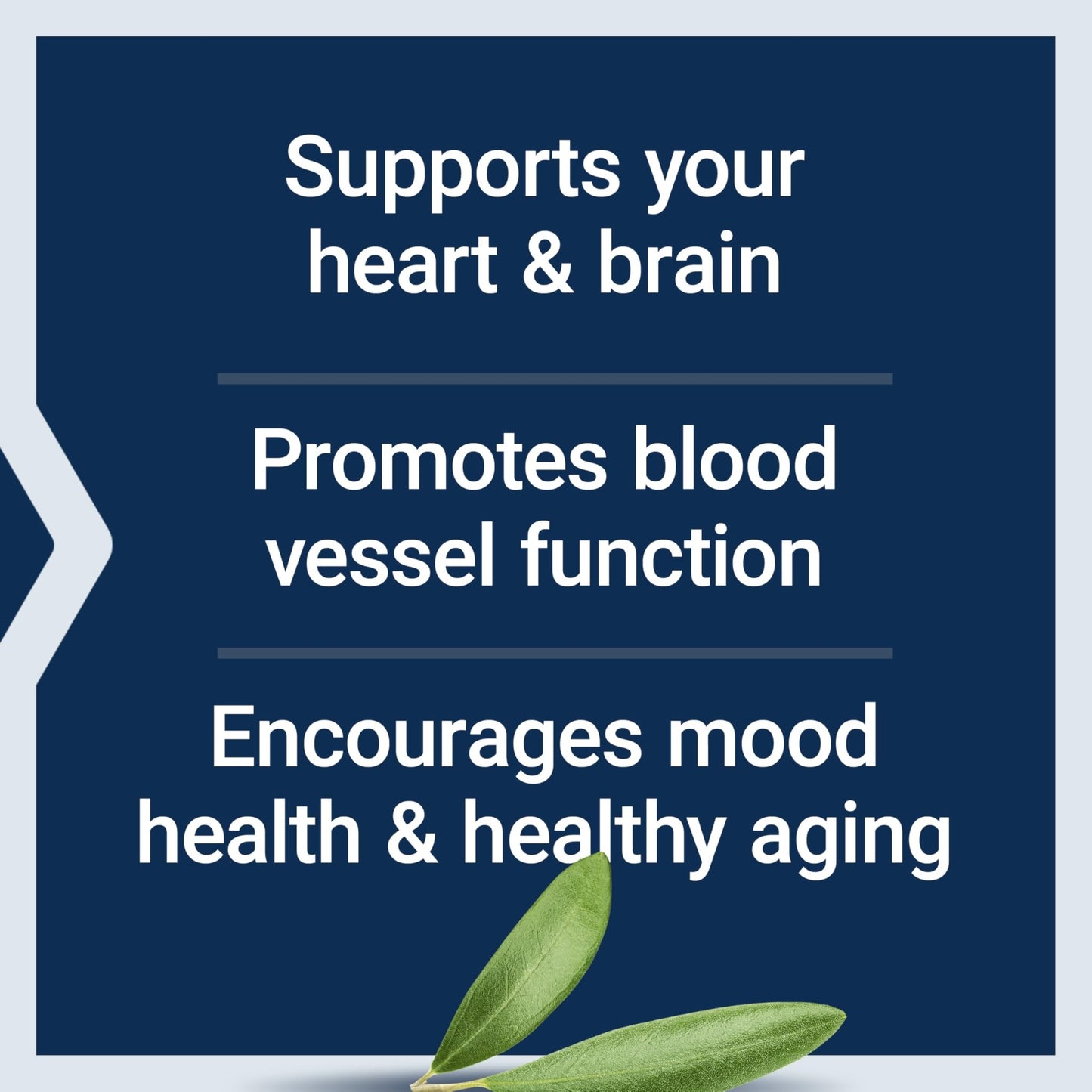 Life Extension Super Omega-3 EPA/DHA Fish Oil, Sesame Lignans & Olive Extract – Heart Health, Brain Health, Inflammation Health Support, Gluten-Free, Enteric-Coated, Non-GMO, 120 Softgels - dailyvitalstore