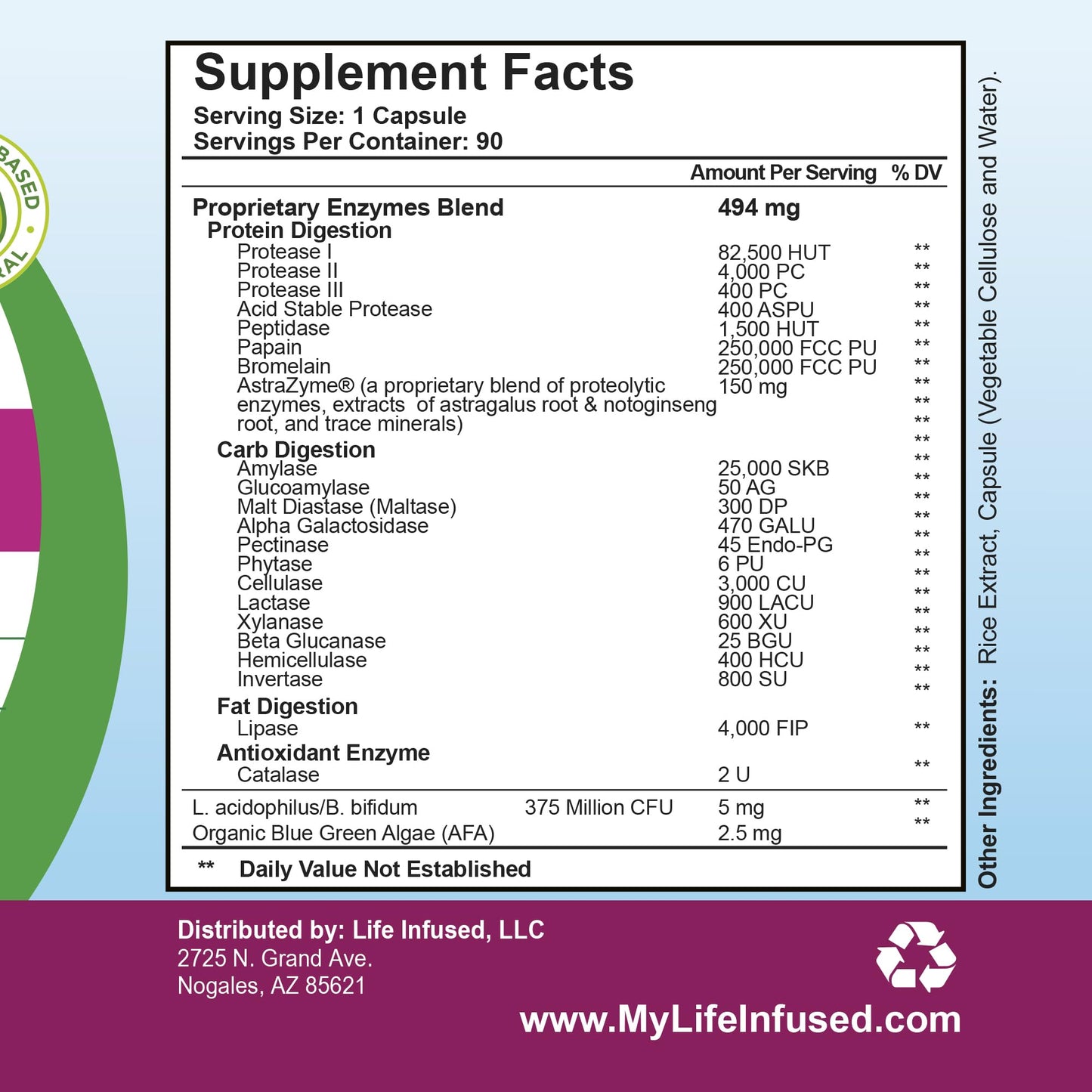 Life Infused Digestive Enzymes with Probiotics – 21 Plant-Based Enzymes with Bromelain, Papain, Amylase & Protease – Digestive Support for Gas & Bloating – - dailyvitalstore
