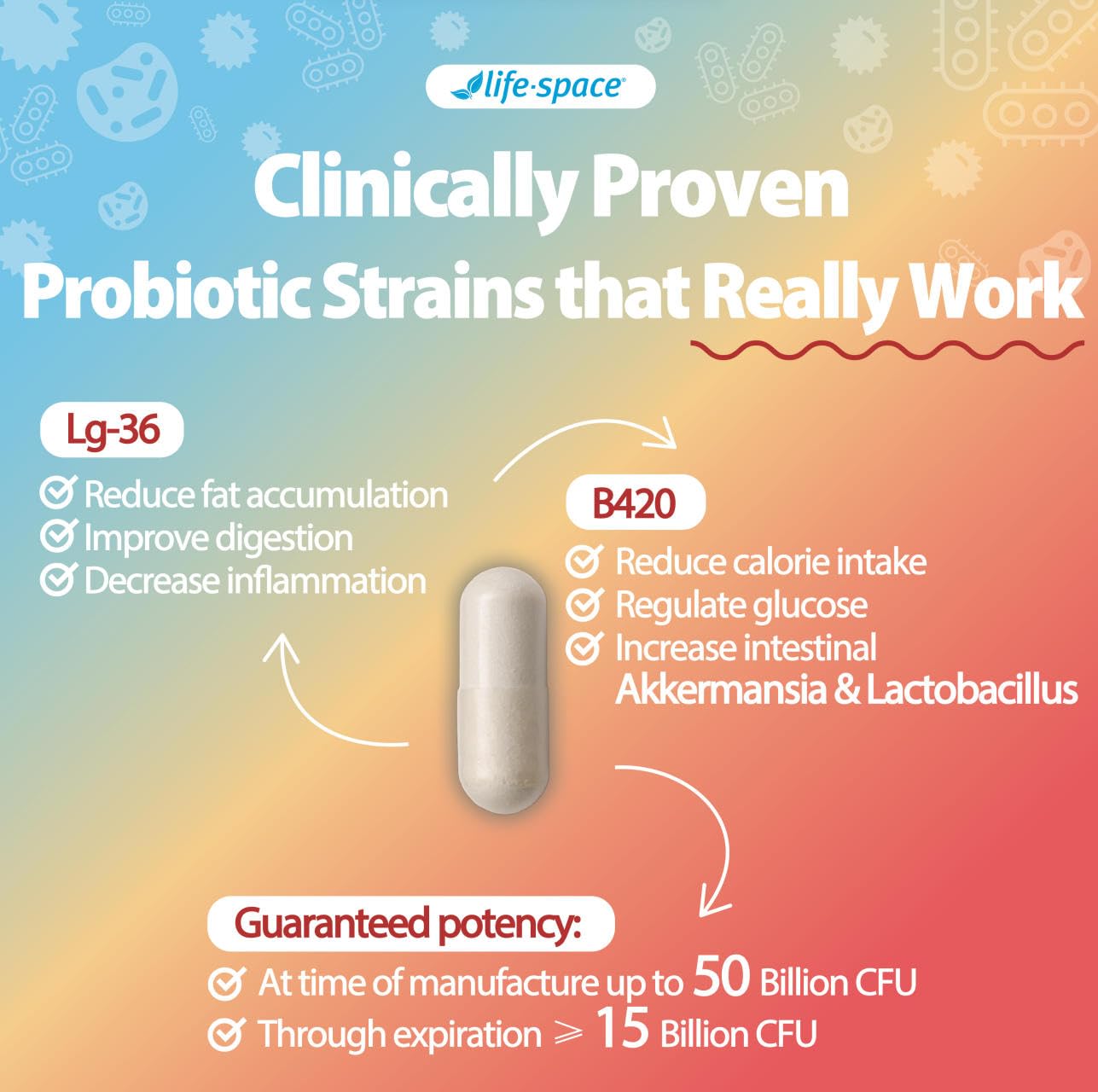 Life-Space Shape B420 Probiotics for Shape Better, Boost, Clinically Backed Metabolism Support, Prebiotic + Probiotics for Women and Men - dailyvitalstore