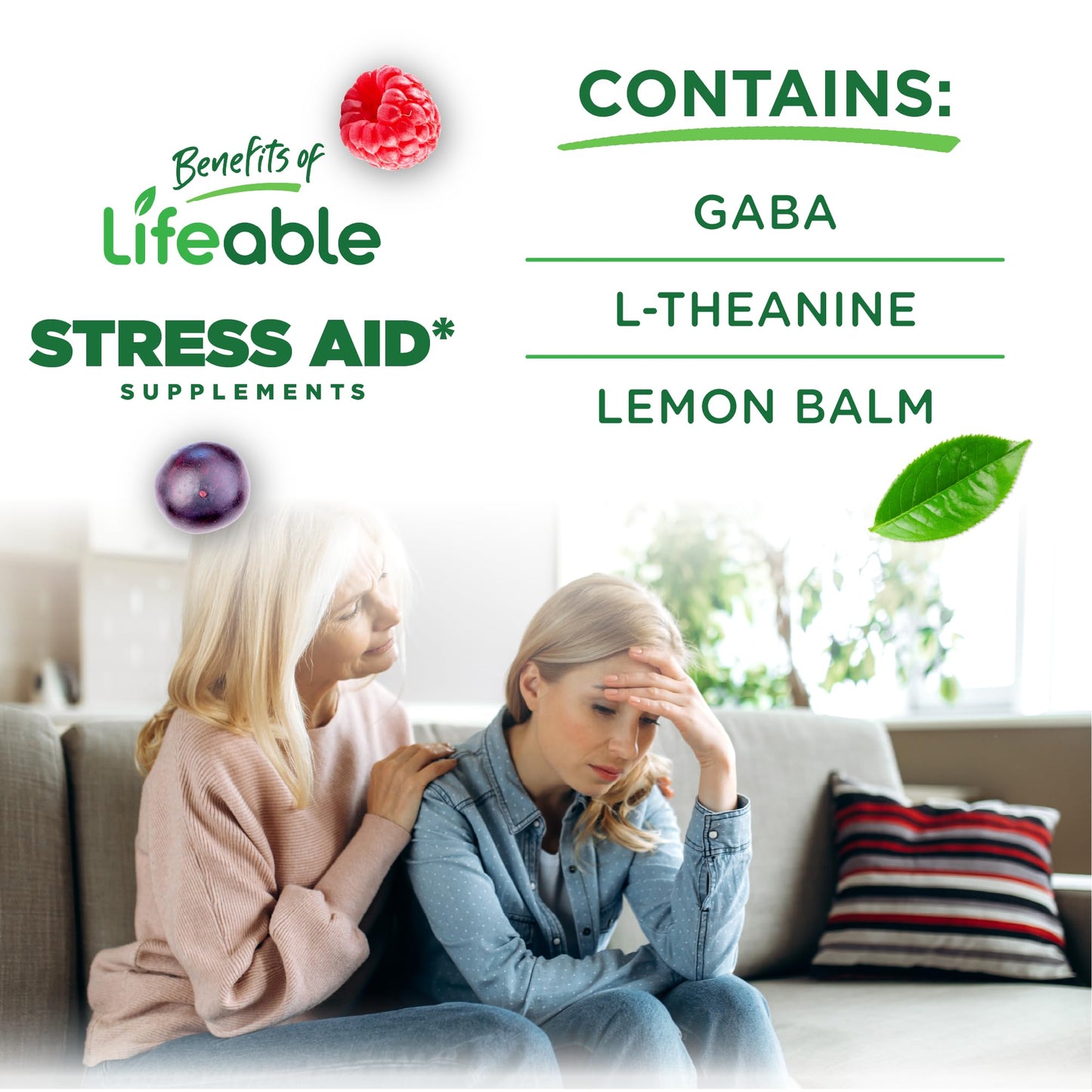 Lifeable Stress Aid Gummies for Teens | with Lemon Balm, GABA and L Theanine Supplements | Vegan Non GMO Mood Support Supplement | Great Tasing Stress Vitamins | L-Theanine for Teen | 90 Gummies - dailyvitalstore