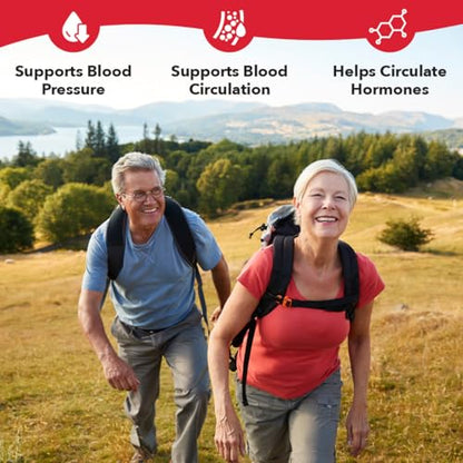 LifeSeasons B/P Stabili-T - Blood Pressure Support - Vitamin Supplement for Healthy Heart & Circulation - Ashwagandha, Arjuna & Hawthorn Berry - 240 Capsules - dailyvitalstore