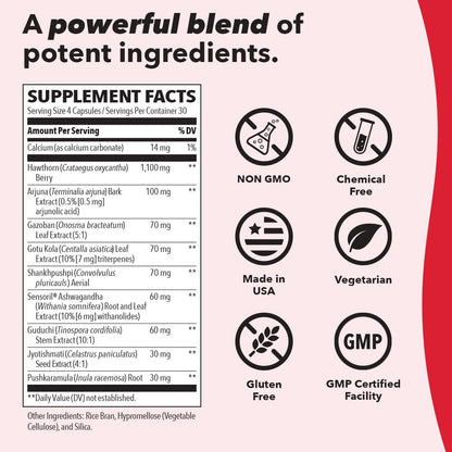 LifeSeasons B/P Stabili-T - Blood Pressure Support - Vitamin Supplement for Healthy Heart & Circulation - Ashwagandha, Arjuna & Hawthorn Berry - 240 Capsules - dailyvitalstore
