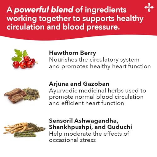 LifeSeasons B/P Stabili-T - Blood Pressure Support - Vitamin Supplement for Healthy Heart & Circulation - Ashwagandha, Arjuna & Hawthorn Berry - 240 Capsules - dailyvitalstore
