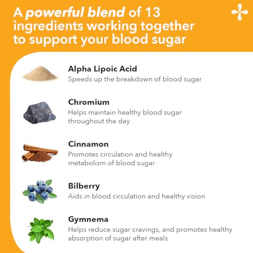 LifeSeasons GS Stabili-T - Blood Sugar Support Supplement - Healthy Circulation & Vision - Maintain Normal Levels - Chromium Cinnamon Gymnema Bilberry & Alpha Lipoic Acid - 90 Capsules - dailyvitalstore