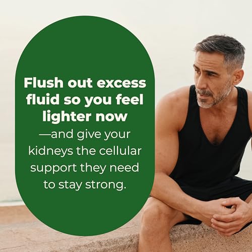LifeSeasons Kidney Support Supplement – Cellular Protection with NAC, Alpha Lipoic Acid, Resveratrol, Burdock Root & Vitamin D3 – Supports Detox, Oxidative Stress & Renal Function – 120 Capsules - dailyvitalstore