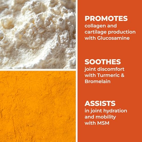 LifeSeasons Mobili-T - Joint Support Supplement - Reduces Aches & Discomforts - Increase Range of Motion - Rebuild Tissue & Cartilage - MSM Chondroitin Collagen Glucosamine & Turmeric - 120 Capsules - dailyvitalstore