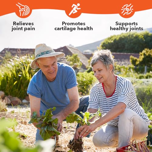LifeSeasons Mobili-T - Joint Support Supplement - Reduces Aches & Discomforts - Increase Range of Motion - Rebuild Tissue & Cartilage - MSM Chondroitin Collagen Glucosamine & Turmeric - 208 Capsules - dailyvitalstore