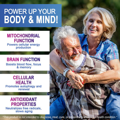 LILICARE Advanced 12mg Methylene Blue Softgels for Humans | Upgraded Brain & Cellular Energy Supplement with CoQ10, NR & ALA | High Absorption Formula, Non-GMO, Mitochondrial & ATP Support, 120 Cts - dailyvitalstore