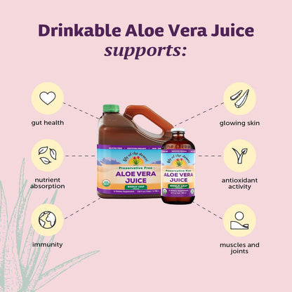 Lily of the Desert Aloe Vera Juice, Whole Leaf Filtered, Organic & Preservative Free – Natural Vitamins, Digestive Enzymes for Gut Health, - dailyvitalstore