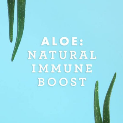 Lily of the Desert Organic Aloe Vera Juice – Inner Fillet, 16 fl oz - dailyvitalstore