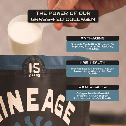 Lineage Provisions 100% Grass Fed Collagen Powder UNFLAVORED – Hydrolyzed Bovine Collagen Peptides with Trachea, Scapula, Eggshell Membrane – Collagen Protein Powder with Vitamin C – 30 Servings - dailyvitalstore