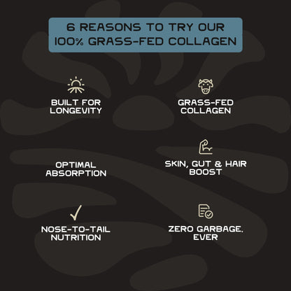 Lineage Provisions 100% Grass Fed Collagen Powder UNFLAVORED – Hydrolyzed Bovine Collagen Peptides with Trachea, Scapula, Eggshell Membrane – Collagen Protein Powder with Vitamin C – 30 Servings - dailyvitalstore