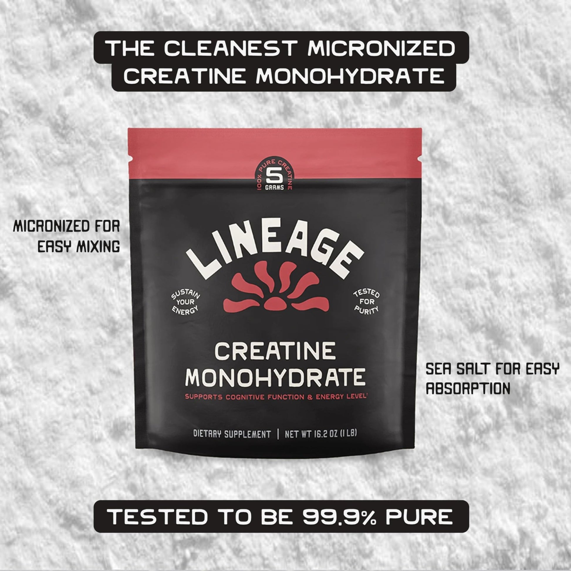 Lineage Provisions Micronized Creatine Monohydrate with Sea Salt - Micronized Creatine Powder for Training & Performance - dailyvitalstore