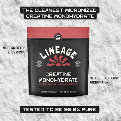 Lineage Provisions Micronized Creatine Monohydrate with Sea Salt - Micronized Creatine Powder for Training & Performance - dailyvitalstore