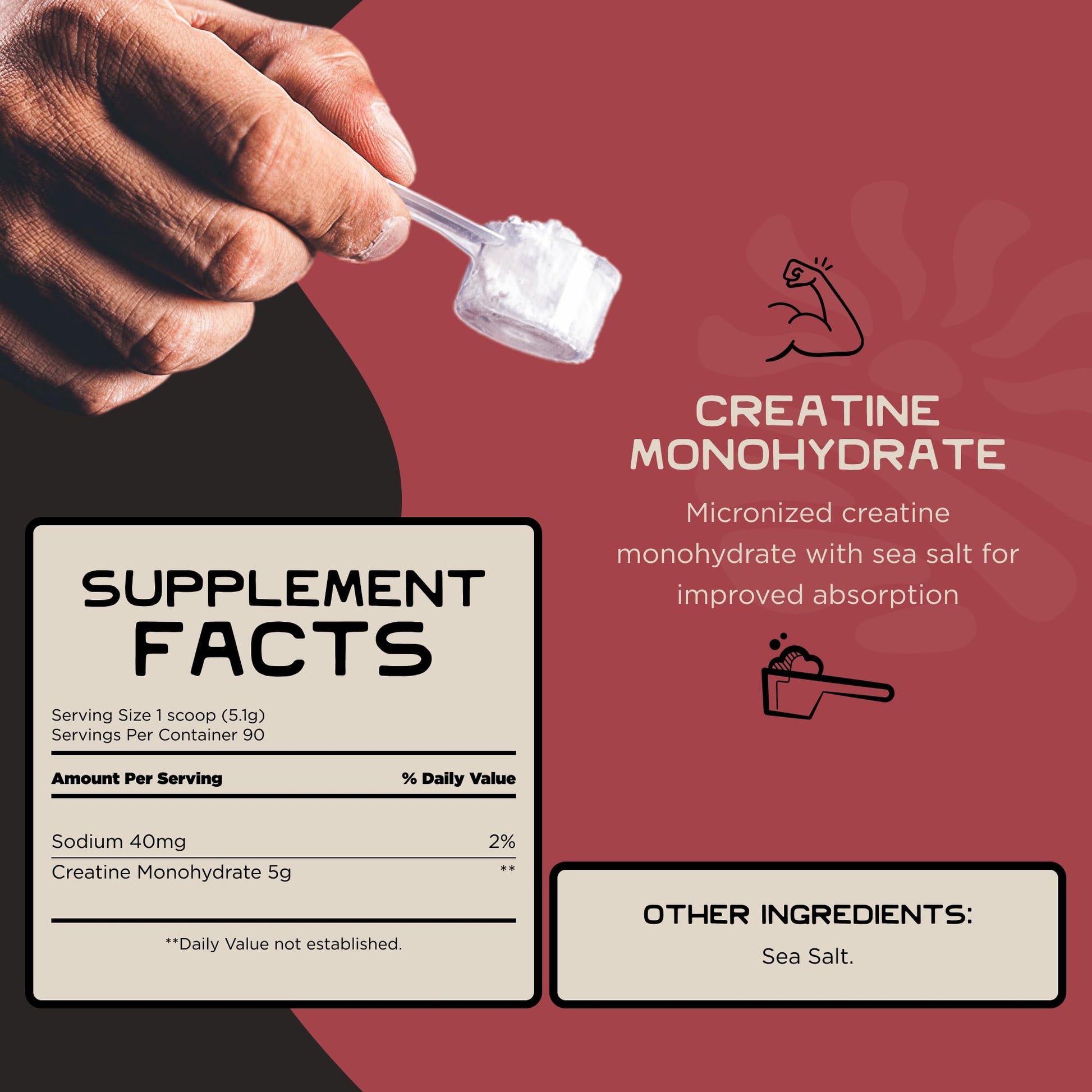 Lineage Provisions Micronized Creatine Monohydrate with Sea Salt - Micronized Creatine Powder for Training & Performance - dailyvitalstore