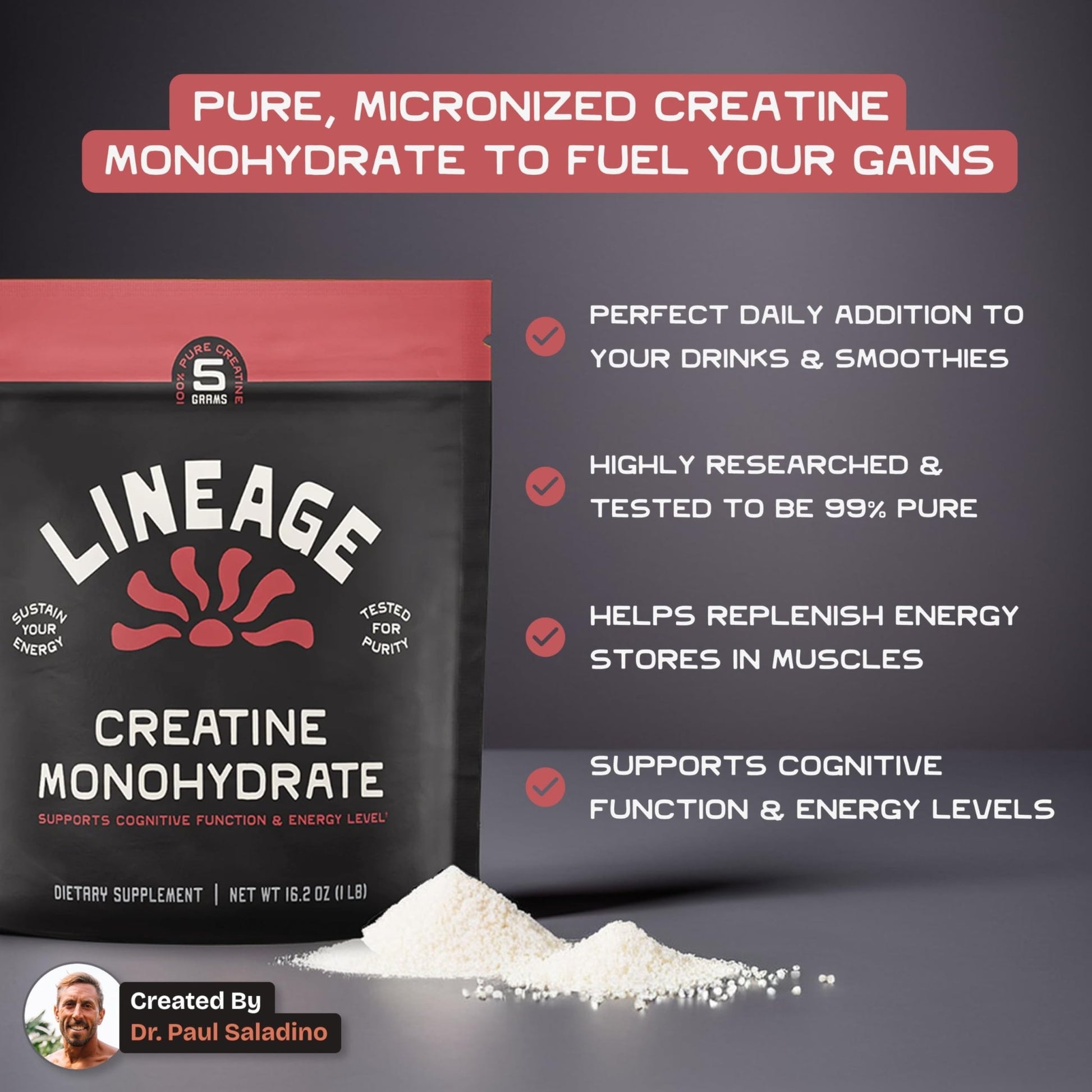 Lineage Provisions Micronized Creatine Monohydrate with Sea Salt - Micronized Creatine Powder for Training & Performance - dailyvitalstore