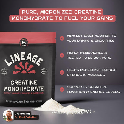 Lineage Provisions Micronized Creatine Monohydrate with Sea Salt - Micronized Creatine Powder for Training & Performance - dailyvitalstore