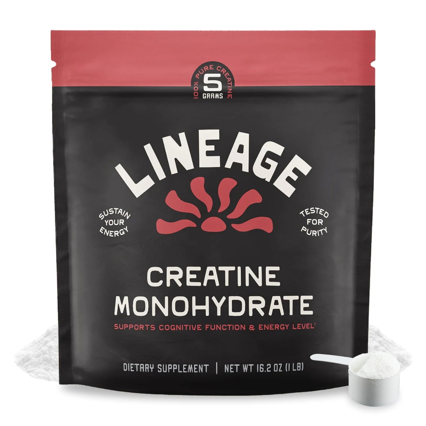 Lineage Provisions Micronized Creatine Monohydrate with Sea Salt - Micronized Creatine Powder for Training & Performance - dailyvitalstore