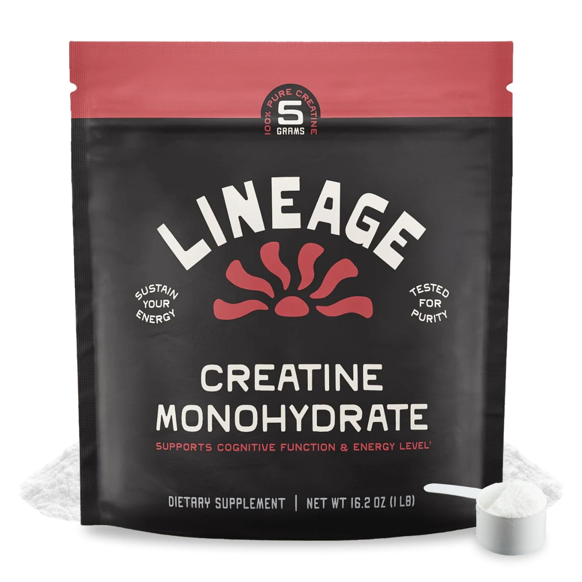 Lineage Provisions Micronized Creatine Monohydrate with Sea Salt - Micronized Creatine Powder for Training & Performance - dailyvitalstore