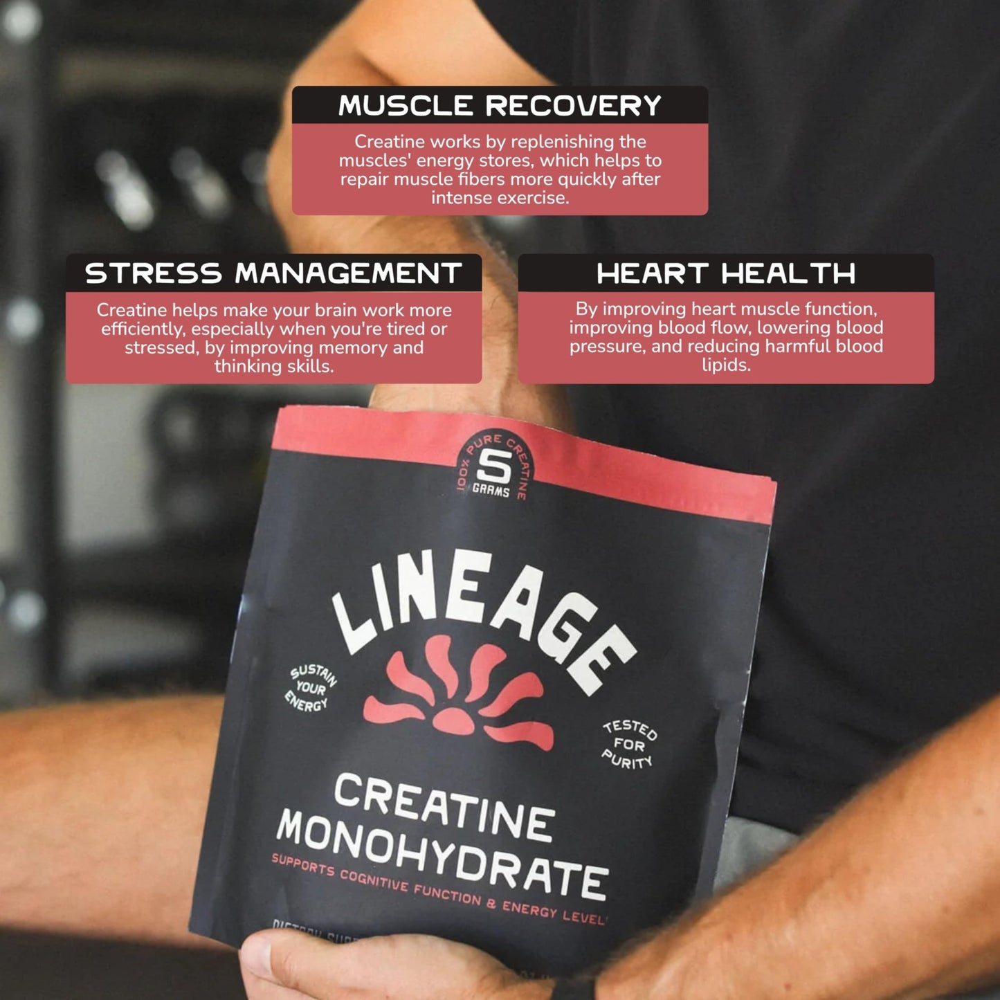 Lineage Provisions Micronized Creatine Monohydrate with Sea Salt - Micronized Creatine Powder for Training & Performance - dailyvitalstore