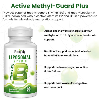 Liposomal B Complex for High Absorption Methylated B12,L-Methyfolate(5-MTHF ),Full Active B Vitamins with Choline Inositol-Energy, Metabolism,Brain & Heart Support - dailyvitalstore