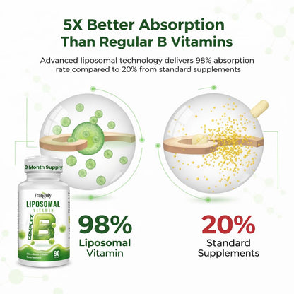 Liposomal B Complex for High Absorption Methylated B12,L-Methyfolate(5-MTHF ),Full Active B Vitamins with Choline Inositol-Energy, Metabolism,Brain & Heart Support - dailyvitalstore