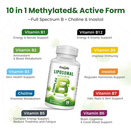 Liposomal B Complex for High Absorption Methylated B12,L-Methyfolate(5-MTHF ),Full Active B Vitamins with Choline Inositol-Energy, Metabolism,Brain & Heart Support - dailyvitalstore