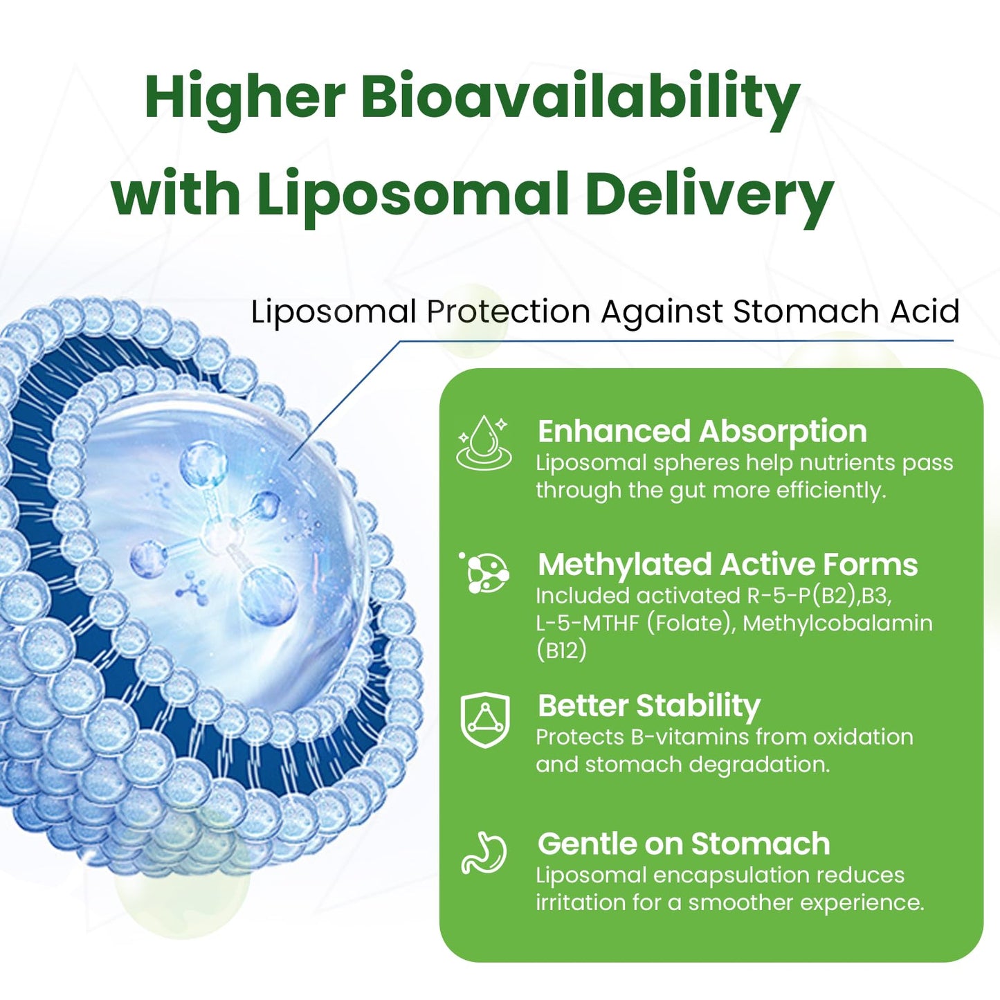 Liposomal B Complex for High Absorption Methylated B12,L-Methyfolate(5-MTHF ),Full Active B Vitamins with Choline Inositol-Energy, Metabolism,Brain & Heart Support - dailyvitalstore
