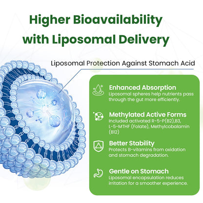Liposomal B Complex for High Absorption Methylated B12,L-Methyfolate(5-MTHF ),Full Active B Vitamins with Choline Inositol-Energy, Metabolism,Brain & Heart Support - dailyvitalstore