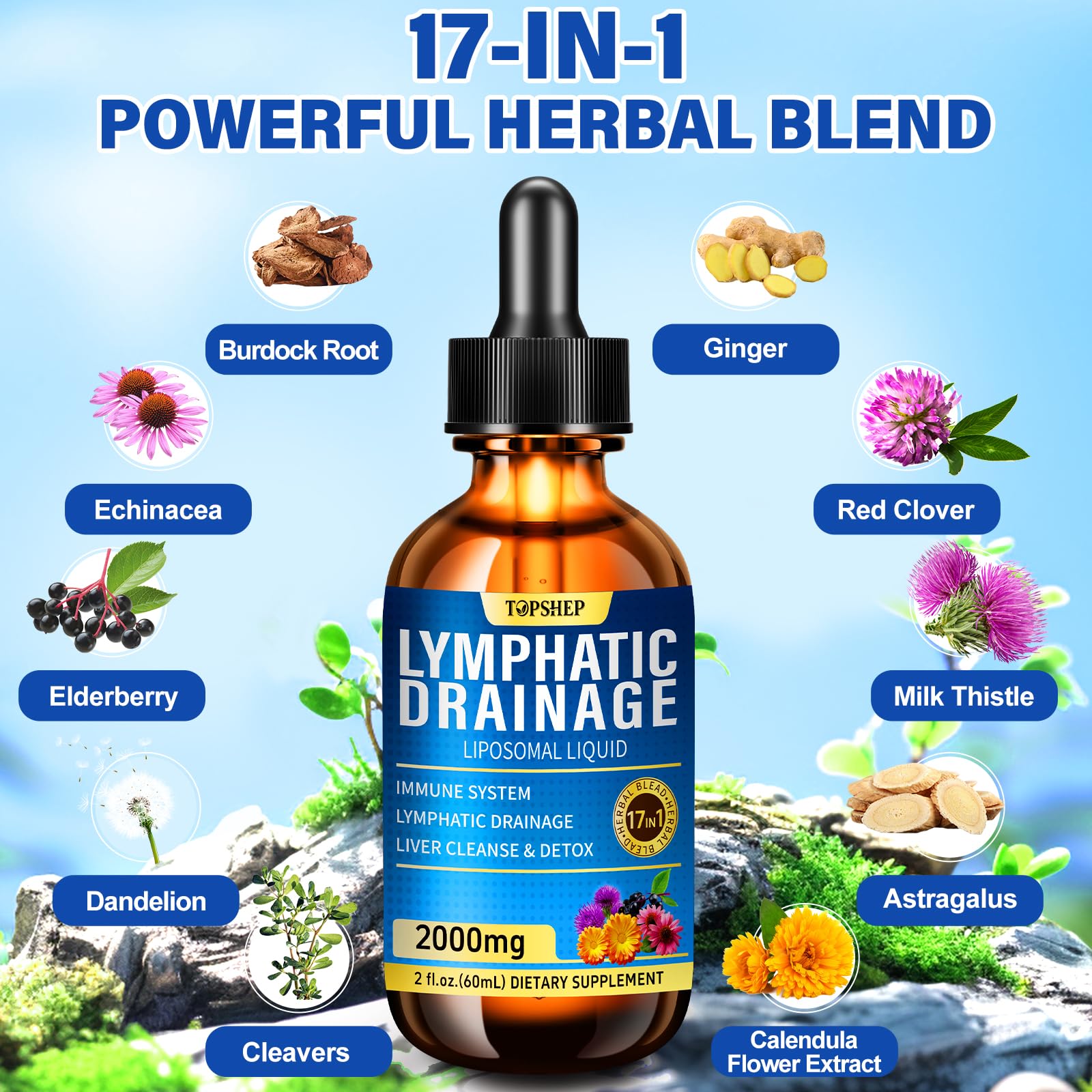 Liposomal Lymphatic Drainage Drops 2000mg - 17-in-1 Lymphatic Support & Liver Cleanse Detox with Milk Thistle, Dandelion, Elderberry, Echinacea & Full Vitamin Complex - Lymph System Support, 2 fl oz - dailyvitalstore