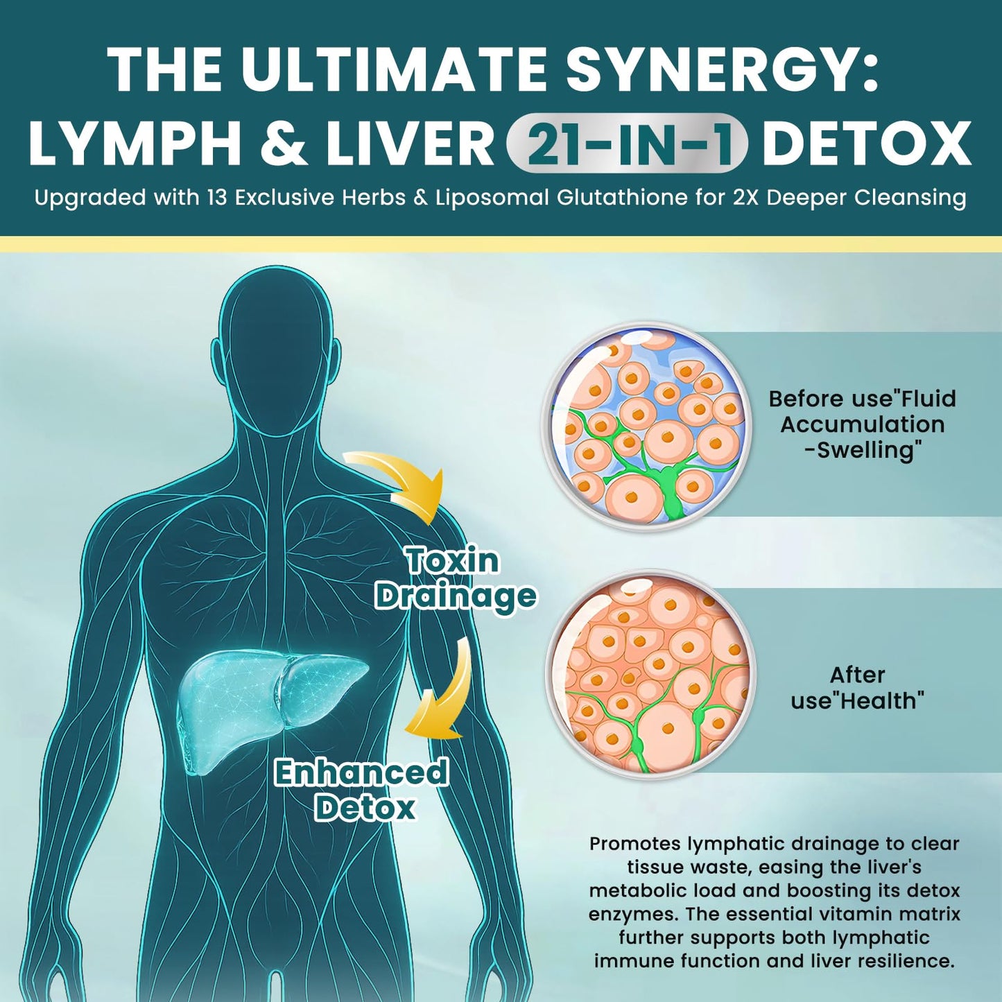 Liposomal Lymphatic Drainage Drops - 21 in 1 Liver Cleanse Detox & Repair with Milk Thistle, Echinacea, Burdock Root, Liposomal Glutathione, Vitamin Complex ''Lymph-Liver'' Gut & Metabolic Health - dailyvitalstore