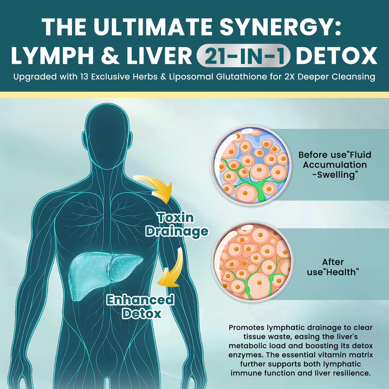 Liposomal Lymphatic Drainage Drops - 21 in 1 Liver Cleanse Detox & Repair with Milk Thistle, Echinacea, Burdock Root, Liposomal Glutathione, Vitamin Complex ''Lymph-Liver'' Gut & Metabolic Health - dailyvitalstore