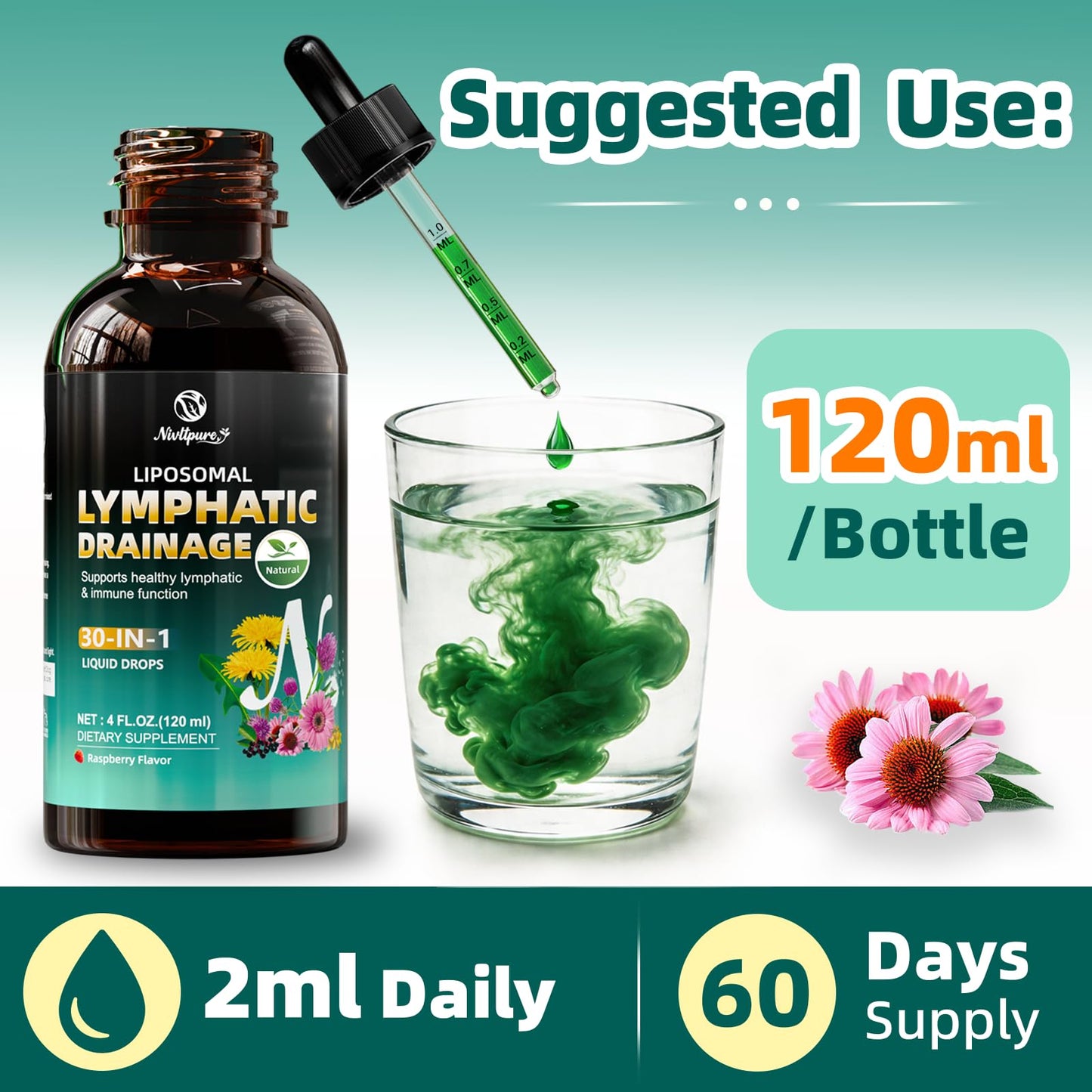 Liposomal Lymphatic Drainage Drops, 4 fl oz – 30-in-1 Lymphatic Drainage Supplements with 23 Herbs & 7 Vitamins – Supports Lymphatic System, Immune & Liver Health – Detox Support – 60-Day Supply - dailyvitalstore