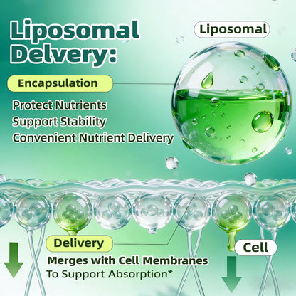 Liposomal Lymphatic Drainage Drops, 4 fl oz – 30-in-1 Lymphatic Drainage Supplements with 23 Herbs & 7 Vitamins – Supports Lymphatic System, Immune & Liver Health – Detox Support – 60-Day Supply - dailyvitalstore