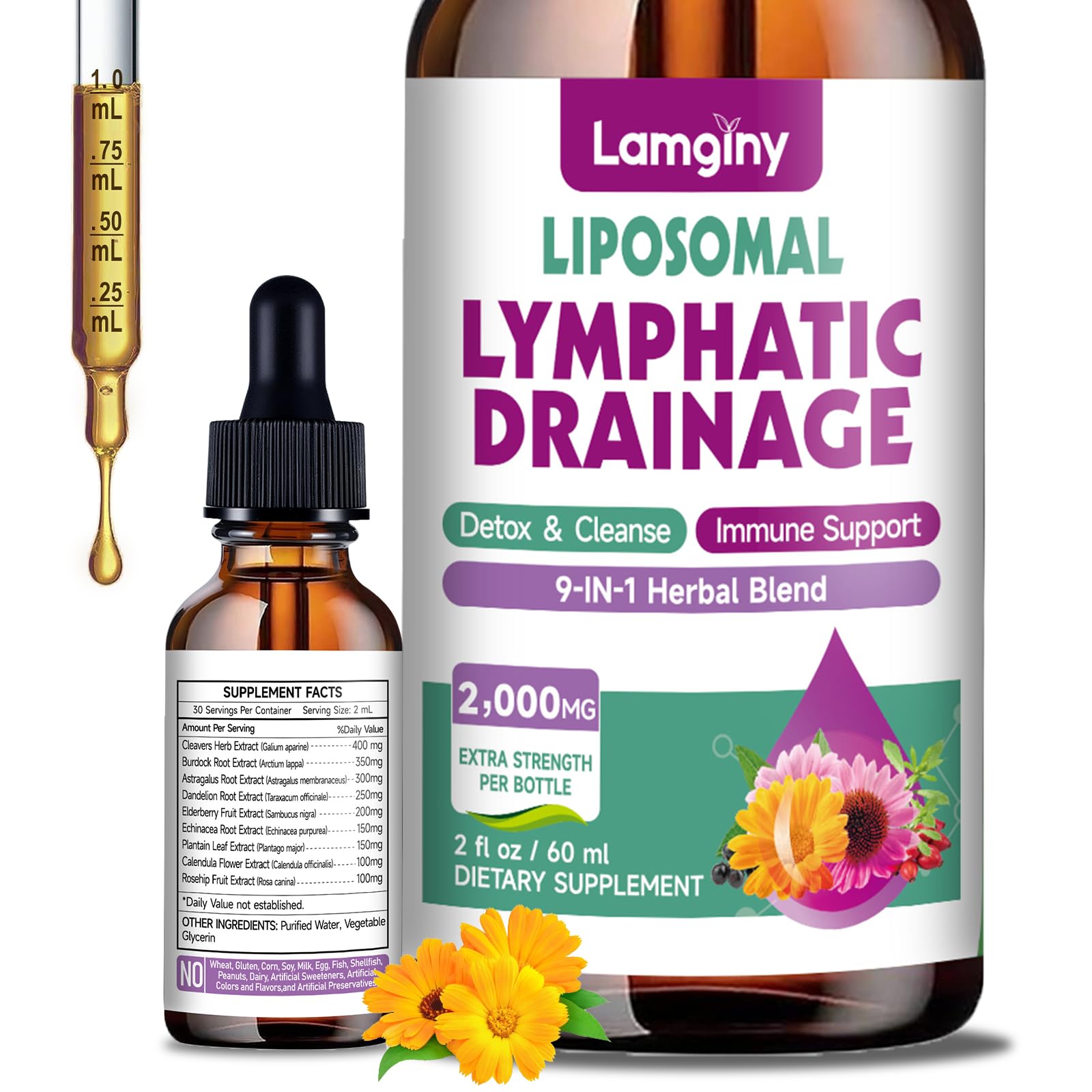 Liposomal Lymphatic Drainage Drops, 9-In-1 Lymphatic Drainage Supplements for Detox & Cleanse, with Echinacea, Dandelion, Elderberry, Burdock Root & Cleavers, Immune & Lymph System Support, 2 FL OZ - dailyvitalstore