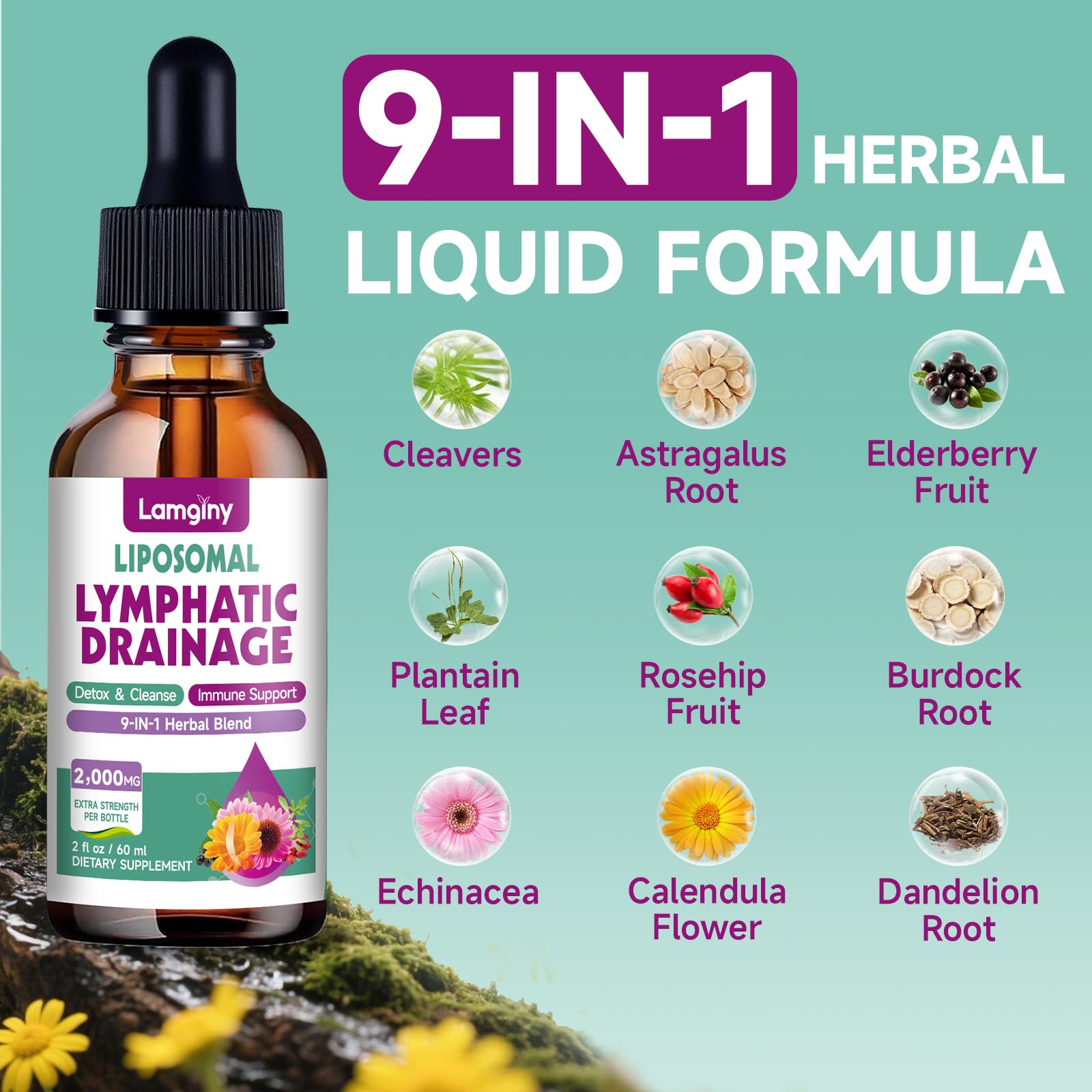 Liposomal Lymphatic Drainage Drops, 9-In-1 Lymphatic Drainage Supplements for Detox & Cleanse, with Echinacea, Dandelion, Elderberry, Burdock Root & Cleavers, Immune & Lymph System Support, 2 FL OZ - dailyvitalstore