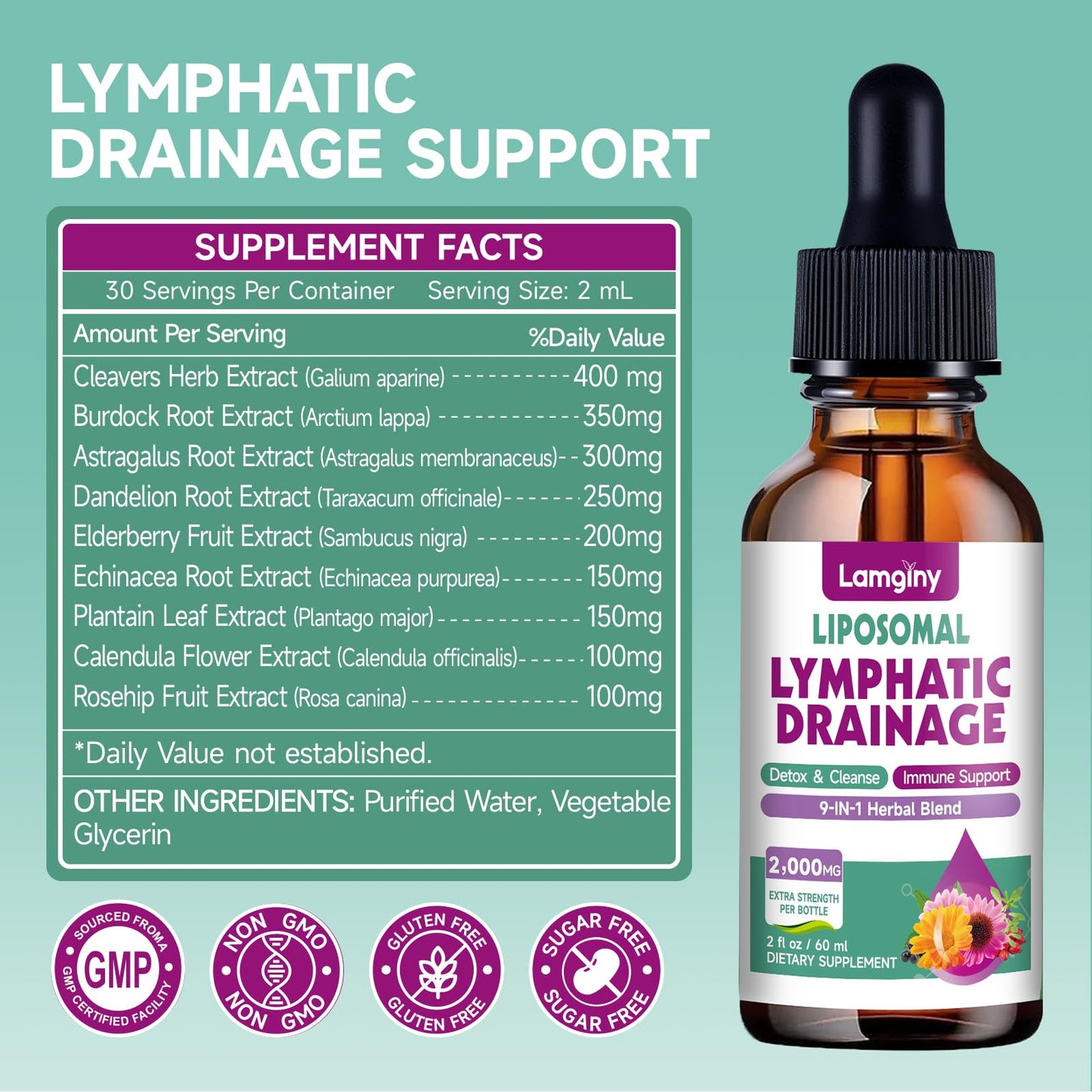 Liposomal Lymphatic Drainage Drops, 9-In-1 Lymphatic Drainage Supplements for Detox & Cleanse, with Echinacea, Dandelion, Elderberry, Burdock Root & Cleavers, Immune & Lymph System Support, 2 FL OZ - dailyvitalstore