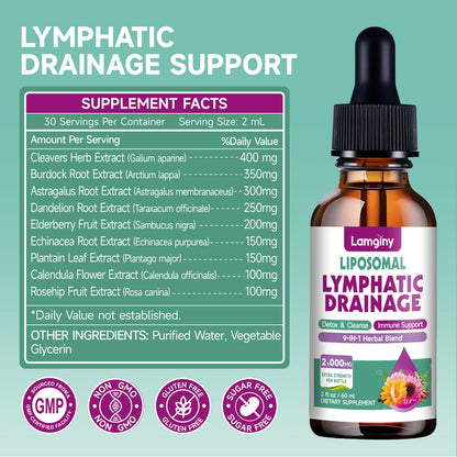 Liposomal Lymphatic Drainage Drops, 9-In-1 Lymphatic Drainage Supplements for Detox & Cleanse, with Echinacea, Dandelion, Elderberry, Burdock Root & Cleavers, Immune & Lymph System Support, 2 FL OZ - dailyvitalstore